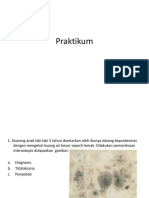 Praktikum.pptx