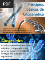 Aula 4b - Princípios Básicos de Citogenética