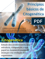 Aula 4b - Princípios Básicos de Citogenética