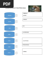 Classification of Philippine Eagle