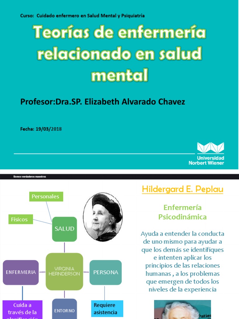 Teoria de sistemas de enfermeria_teorias