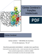 Fisiologia - 13 - Córtex Cerebral e Funções Intelectuais