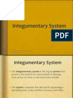 Integumentary System