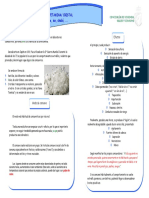 Metanfetamina PDF