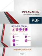Inflamacion: C.D. Mg. Dra Evelyn G. Pisconte Leon