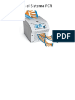 Se Desarrolla El Sistema PCR