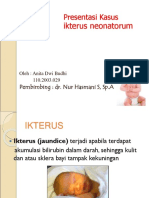 138066872-100208754-PPT-IKTERUS