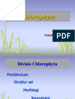 Kuliah_III_Chlorophyta-2018.pdf