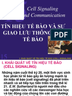 15 CellSignaing&Communication