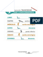 Op Transformer Fase 1 Entrenamiento Sin R PDF