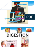 Sanitation, Practices and Condition To Maintain Sanitation