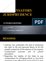 Compensatory Jurisprudence: Interim Report