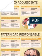 Paternidad y Embarazoadolescentepaternidadresponsableylosanticonceptivos 150526040213 Lva1 App6891