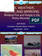 Fire, Weather, Smoke and Mirrors - Cliff White