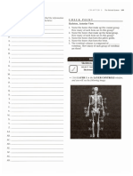 Axial Skeleton APR Worksheets
