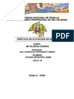 Práctica de Flotación de Minerales