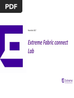 Extreme Fabric Connect Lab