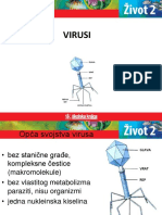 Ostalo 3 Virusi