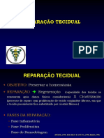 Reparação tecidual: inflamação, proliferação e remodelamento