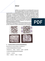 Rocas Metaforica y Sedimentarias