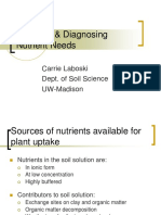 Nutrients & Diagnosing Nutrient Needs: Carrie Laboski Dept. of Soil Science UW-Madison