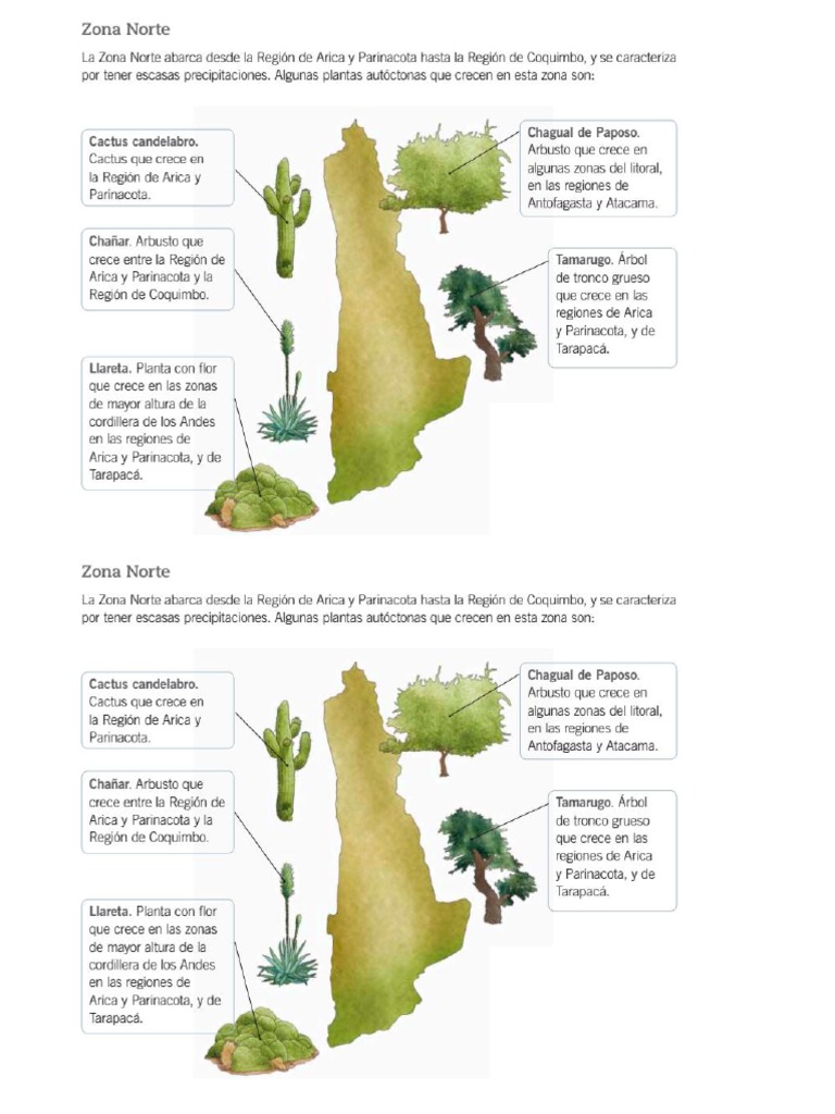Plantas Autoctonas | PDF
