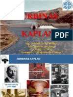 Turbinas Kaplan: Mg. Orlando A. Audisio Año Academico: 2014 La.M.Hi. - Unco Neuquen - Patagonia Argentina