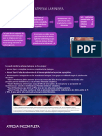 Atresia Laringea Parte Dante