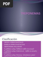 Download TREPONEMA PALLIDUM by Tess Musa SN38858282 doc pdf