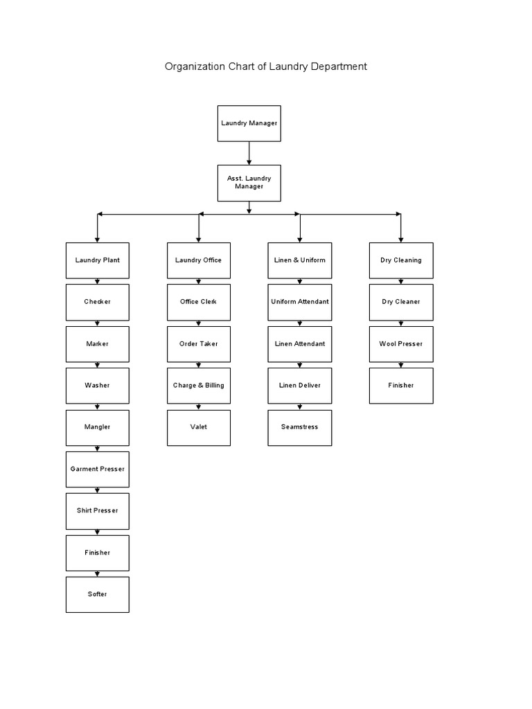 Organization Chart of Laundry Department