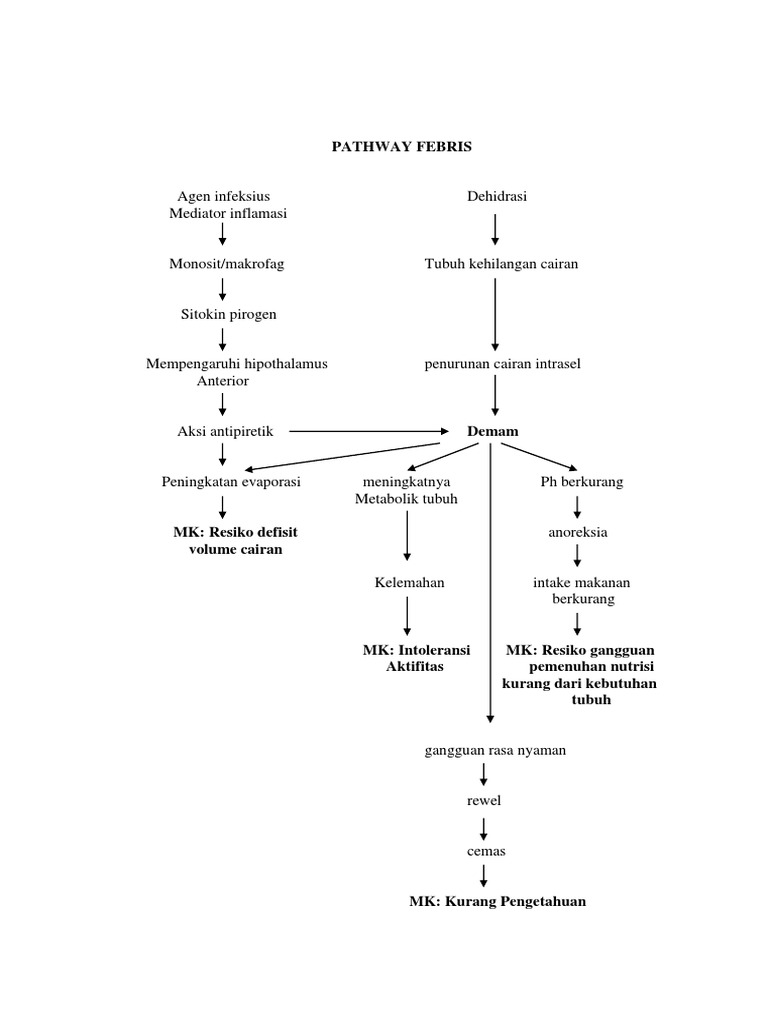 Pathway Febris | PDF