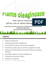 Plante oleaginoase.pdf