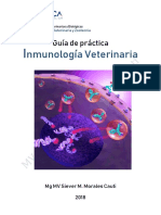 Organos Hematopoyeticos y Linfoides - IV