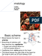 Basic Hematology