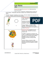 Bio Notes 3.1.2 Pro Vs Euk