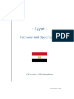 SPTEC Advisory - Egypt 2013 News Review.pdf
