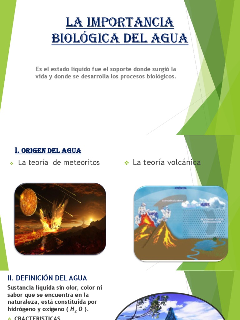 La Importancia Del Agua En Los Ecosistemas: Un Recurso Vital. – QUPK