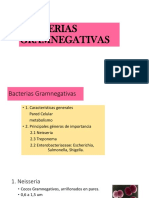 Bacterias Gram Negativas