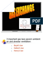 RESP2 -Gas Exchange