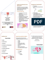 Perdarahan Uterus Abnormal