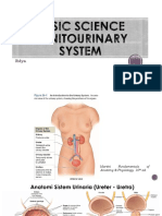 Basic Science Genitourinary System