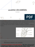 Sistema Circulatório PDF