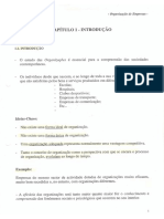Organização de Empresas Introdução PDF