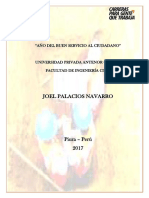 PalaciosNavarro01.docx