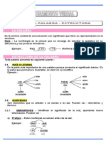 RV Morfologia 2