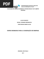 TRABALHO AGROENERGIA- SORGO.docx