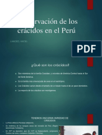 Conservación de Los Crácidos en El Perú