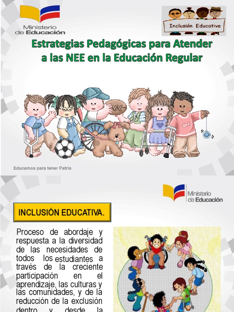 Estrategias para NEE en Educación Regular | PDF | Síndrome de Down ...