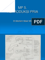 SISTEM REPRODUKSI PRIA DR Martiem