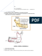 Penatalaksanaan Fraktur Mandibula